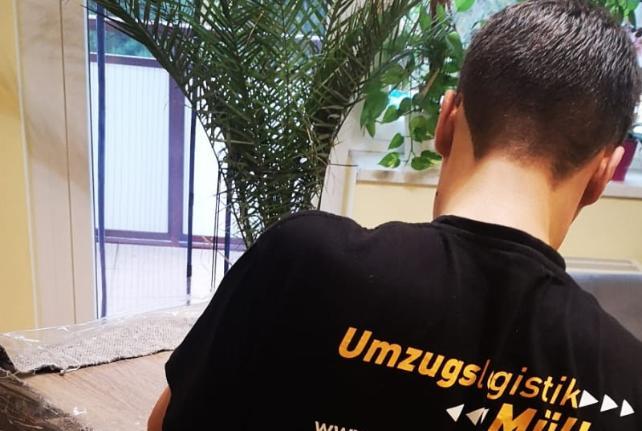 Laborumzug Grünhainichen stressfrei umziehen 