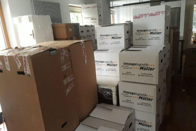 Labor Umzug preise erfahren in Grünhainichen